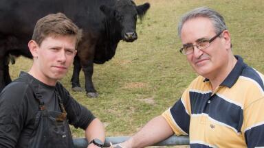Integrated Strategy for Bovine TB Test